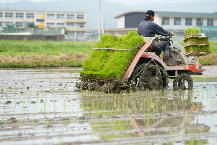 The featured image of 今年も田植えが始まりました！
