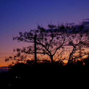 The featured image of 【レビュー】SELP18105G(E PZ 18-105mm F4 G OSS)はやっぱり超便利だった！購入2週間で感じたこと