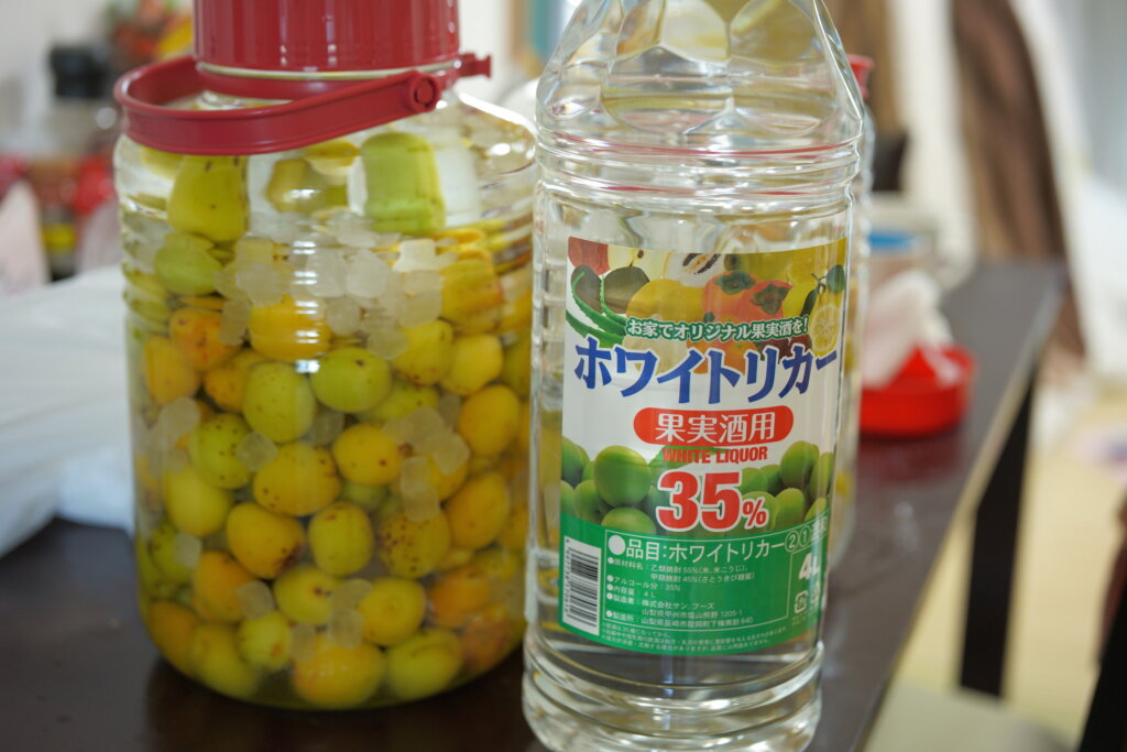 ILCE-7RM4A, 50mm, f/2.8, 1/50sec, ISO400 | Photo by DAISUKE YAMAMOTO