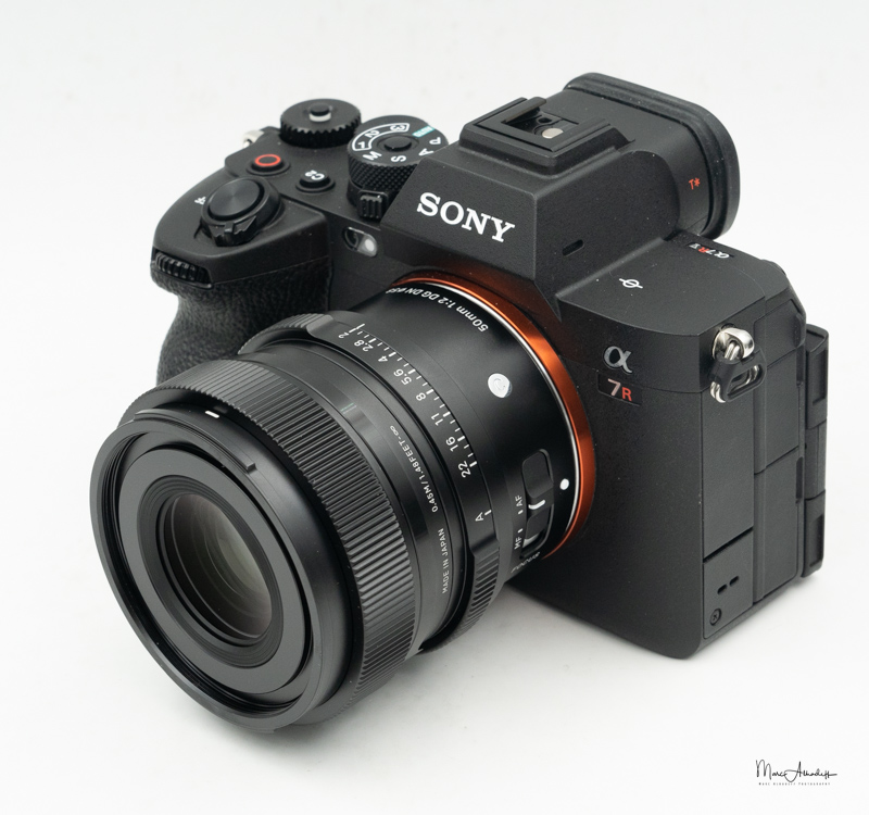The featured image of Sony Alpha Blog : Sigma 50mm F2 DG DN